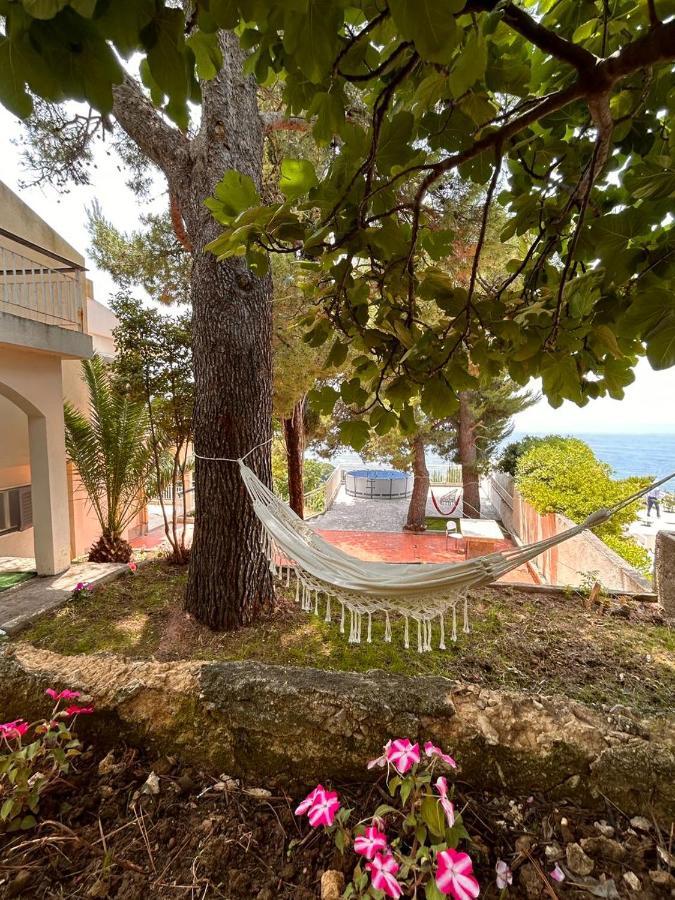 Apartments Nautilus Ulcinj Buitenkant foto